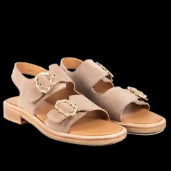 Angulus sandal