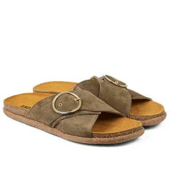 Angulus sandal