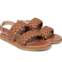 Angulus sandal