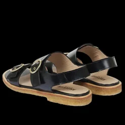 Angulus sandal
